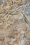 Kostki brukowe i krawężniki - Granit Brazylijski Voragem Gold 2cm Poler - Slab - miniaturka - grafika 1