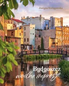 Książki regionalne - BYDGOSZCZ wodne impresje - miniaturka - grafika 1