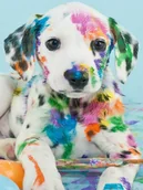 Malowanie po numerach - Artnapi 40x50cm Malowanie Po Numerach - Dalmatyńczyk w farbie - Na Drewnianej Ramie - miniaturka - grafika 1
