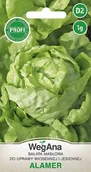 Nasiona i cebule - Sałata masłowa Alamer 1g nasiona - WegAna - miniaturka - grafika 1