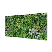 Podkładki na biurko - Trwała mata winyl eko grafika Sukulenty roślinność, ArtprintCave - miniaturka - grafika 1