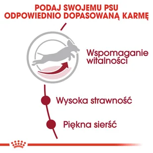 Royal Canin Medium Adult 7+ 15 kg - Sucha karma dla psów - miniaturka - grafika 13