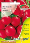 Nasiona i cebule - Nasiona Rzodkiewki Krasa NANO- Torseed - miniaturka - grafika 1