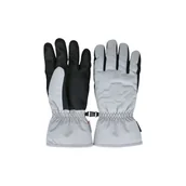 Rękawiczki - Rękawice narciarskie sportowe 4F Thinsulate damskie AFGLF144-27S - miniaturka - grafika 1