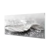 Tablice i flipcharty - Szklany lacobel + klej Krople piórko makro 120x60 - miniaturka - grafika 1