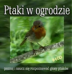 Soliton Ptaki w Ogrodzie - Muzyka relaksacyjna - miniaturka - grafika 1