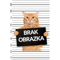 Miód - Wowka Miód perłowy z wiśnią 260 g - miniaturka - grafika 1