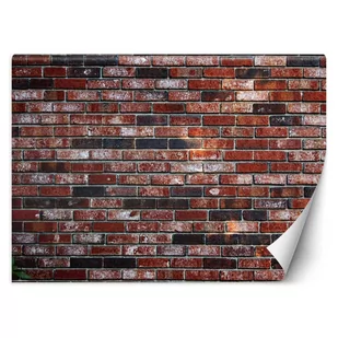 Fototapeta, Mur z czerwonej cegły (Rozmiar 200x140) - Fototapety - miniaturka - grafika 1