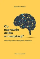 E-booki - religia - Co naprawdę działa w medytacji? Wspólny rdzeń i specyfika medytacji - miniaturka - grafika 1