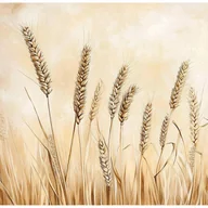 Fototapety - Fototapeta Natura Pszenica Beżowy Trawa 400x280 cm Tapeta Do Sypialni Salonu Kuchni Na Flizelinie - miniaturka - grafika 1