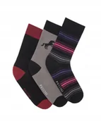 Skarpetki męskie - Skarpety Męskie Skarpetki Bawełniane 3 pary 43-46 PUCCINI SKS22329-4346 - miniaturka - grafika 1