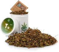 Zioła - TULSI do WAPORYZACJI susz zioła stres trawienie układ odpornościowy - miniaturka - grafika 1