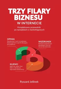 Jellinek Ryszard Trzy filary biznesu w Internecie - Biznes - miniaturka - grafika 1