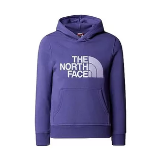 Bluzy dla chłopców - THE NORTH FACE Drew Peak chłopięca bluza z kapturem - grafika 1
