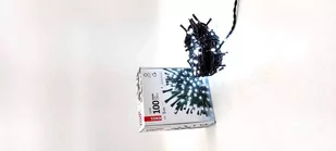 EMOS LED Łańcuch bożonarodzeniowy 100xLED/6,5m zimna biel - Oświetlenie świąteczne - miniaturka - grafika 1