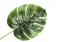 Sztuczne kwiaty - Sztuczny Liść 42Cm Zielony Na Bukiet Stroik 1X - miniaturka - grafika 1