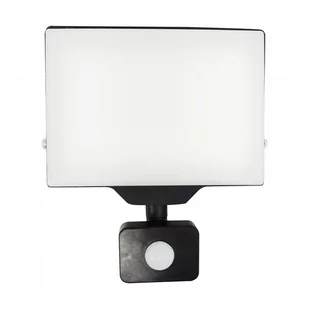 Naświetlacz PORTO S LED 50W z Czujnikiem Ruchu PIR - Lampy ogrodowe - miniaturka - grafika 1