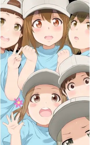 Plakat Anime Cells at Work hs_020 A3 (custom)