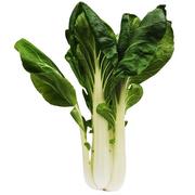 Sałata - Pak Choi