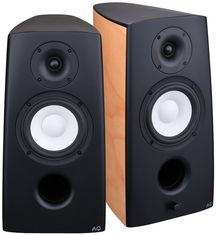 Acoustique Quality CANTO 3 FORTE / buk