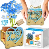 Nasiona i cebule - Prezent na DZIEŃ DZIADKA Niezapominajka Zestaw do uprawy NASIONA - miniaturka - grafika 1