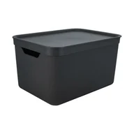 Pudła i pojemniki do przechowywania - Pudełko z pokrywą 16 l 36.5 x 20.5 x 26.8 Rotho Jive - miniaturka - grafika 1