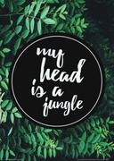 Plakaty - Nice wall My head is a jungle - plakat PA3248 - miniaturka - grafika 1