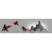 Wyposażenie pokoiku dziecięcego - Dekoracyjny pas samoprzylepny Harry Potter Quidditch, 500 x 9,7 cm - miniaturka - grafika 1