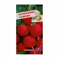 Nasiona i cebule - Rzodkiewka Carmen 10g / O / - miniaturka - grafika 1