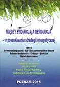 Technika - Między ewolucją a rewolucją - w poszukiwaniu strategii energetycznej Tom 2 - Fundacja na rzecz Czystej Energii - miniaturka - grafika 1