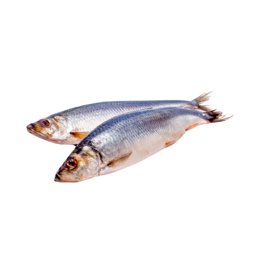 Śledzie małosolne (ok.400g) 