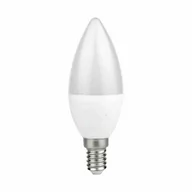 Żarówki LED - Żarówka Led 7W E14 C37 Świeczka. Barwa: Ciepła Eko-Light - miniaturka - grafika 1