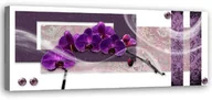 Obrazy i zdjęcia na płótnie - Obraz na płótnie, Purpurowy storczyk 150x50 - miniaturka - grafika 1