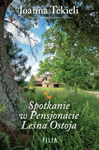 Spotkanie w Pensjonacie Leśna Ostoja - Literatura obyczajowa - miniaturka - grafika 1
