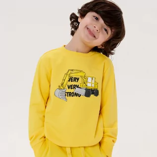 Swetry dla chłopców - Sinsay - Bluza z nadrukiem - Żółty - grafika 1