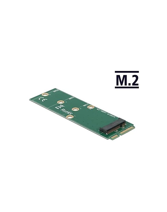 DeLOCK mSATA to M.2 Key B Slot, adapter