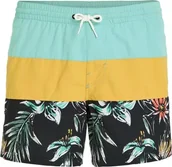 Kąpielówki męskie - O Neill Męskie Szorty MIX & MATCH CALI BLOCK 15'' SWIM SHORTS - miniaturka - grafika 1