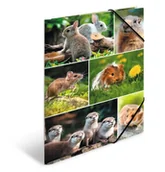 Teczki i skoroszyty - Teczka A4 Z Gumkami, Gryzonie - miniaturka - grafika 1