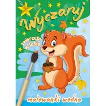 Wyczaruj zwierzęta w lesie Malowanki wodne - Powieści i opowiadania - miniaturka - grafika 1