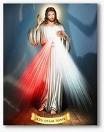Ikony i obrazy sakralne - Jezus Miłosierny, nowoczesny obraz religijny plexi - miniaturka - grafika 1