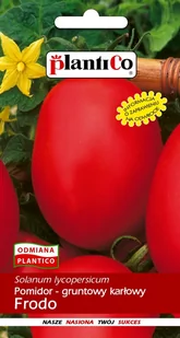 Pomidor Gruntowy Frodo 1g PlantiCo - Nasiona i cebule - miniaturka - grafika 1