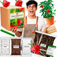 Nasiona i cebule - Papryka Trinidad Moruga Scorpion Zestaw do uprawy papryki XXL Nasiona - miniaturka - grafika 1