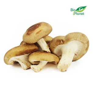 ŚWIEŻE (owoce, warzywa, grzyby) - tacki i sztuki Grzyby shiitake świeże BIO (polska) (około 0,20 kg) - 1 opakowanie BP-5904730469012 - Grzyby ŚWIEŻE (owoce, warzywa, grzyby) - tacki i sztuki Grzyby shiitake świeże BIO (polska) (około 0,20 kg) - 1 opakowanie BP-5904730469012 - Grzyby - miniaturka - grafika 1