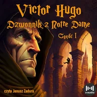 Audiobooki - historia - Dzwonnik z Notre Dame - część pierwsza Victor Hugo - miniaturka - grafika 1