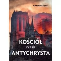 Kościół czasu antychrysta - Religia i religioznawstwo - miniaturka - grafika 1
