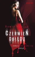 E-booki - literatura polska - Czerwień obłędu Dawid Waszak - miniaturka - grafika 1