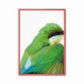 Ramki na zdjęcia - Ramka zatrzaskowa, rama plakatowa, ramka na zdjęcie, A0, 25 mm, czerwony - miniaturka - grafika 1