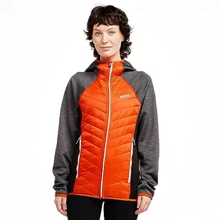 Regatta Męska kurtka hybrydowa Andresonvi, Cajun pomarańczowy/nosorożec/czarny (nosorożec), XL - Kurtki męskie - miniaturka - grafika 1