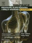 Książki medyczne - Urban & Partner Manipulacje kręgosłupa klatki pierśiowej i obręczy biodrowej w osteopatii - Gibbons Peter, Tehan Philip - miniaturka - grafika 1