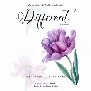Different - Audiobooki - romanse - miniaturka - grafika 1